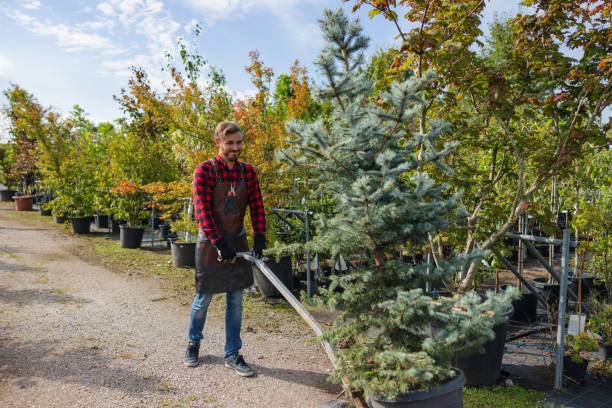 Lawn Watering Services in Dallastown, PA